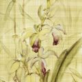 Cheri Blum - Orchids of the Orient II